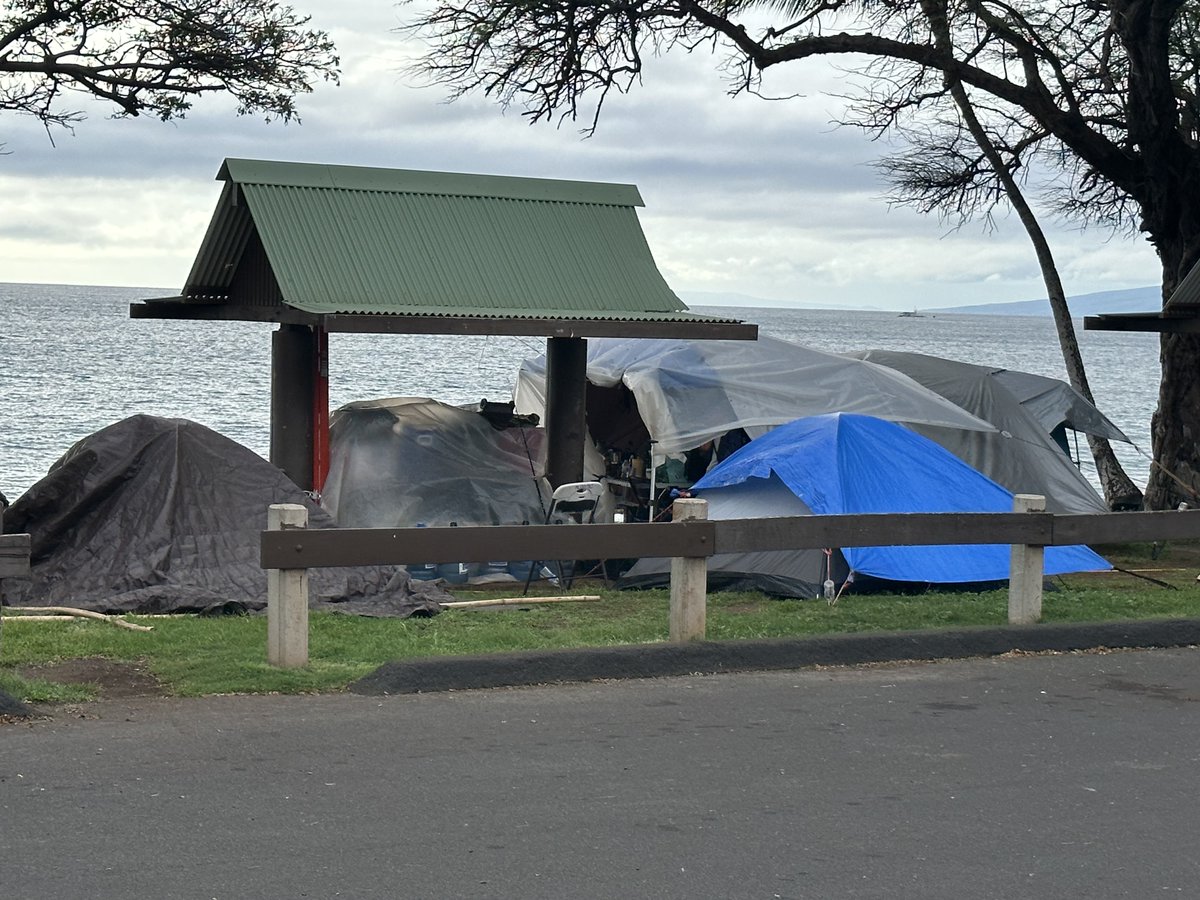nicksortor's tweet photo. 🚨 THE BIDEN ADMIN HAS CREATED A MASSIVE HOMELESS CRISIS ON MAUI

West Maui & Lahaina residents are literally being FORCED out of their homes and into LITERAL ROADSIDE TENTS due to Biden’s FEMA.

Because FEMA’s housing efforts have been a TOTAL failure, they’ve now resulted to coercing landlords to EVICT their current tenants and replace them with FEMA tenants.

FEMA has driven rent prices THROUGH THE ROOF, causing housing to become unaffordable to the masses, as FEMA is paying at LEAST 130% above market rates.

Meanwhile, short term rentals sit vacant.

Many of these newly displaced residents have lost their jobs due to the fire anyway, so their only choices are to be homeless or move off the island. They’re receiving absolutely ZERO aid whatsoever.

WHERE IS JOE BIDEN?