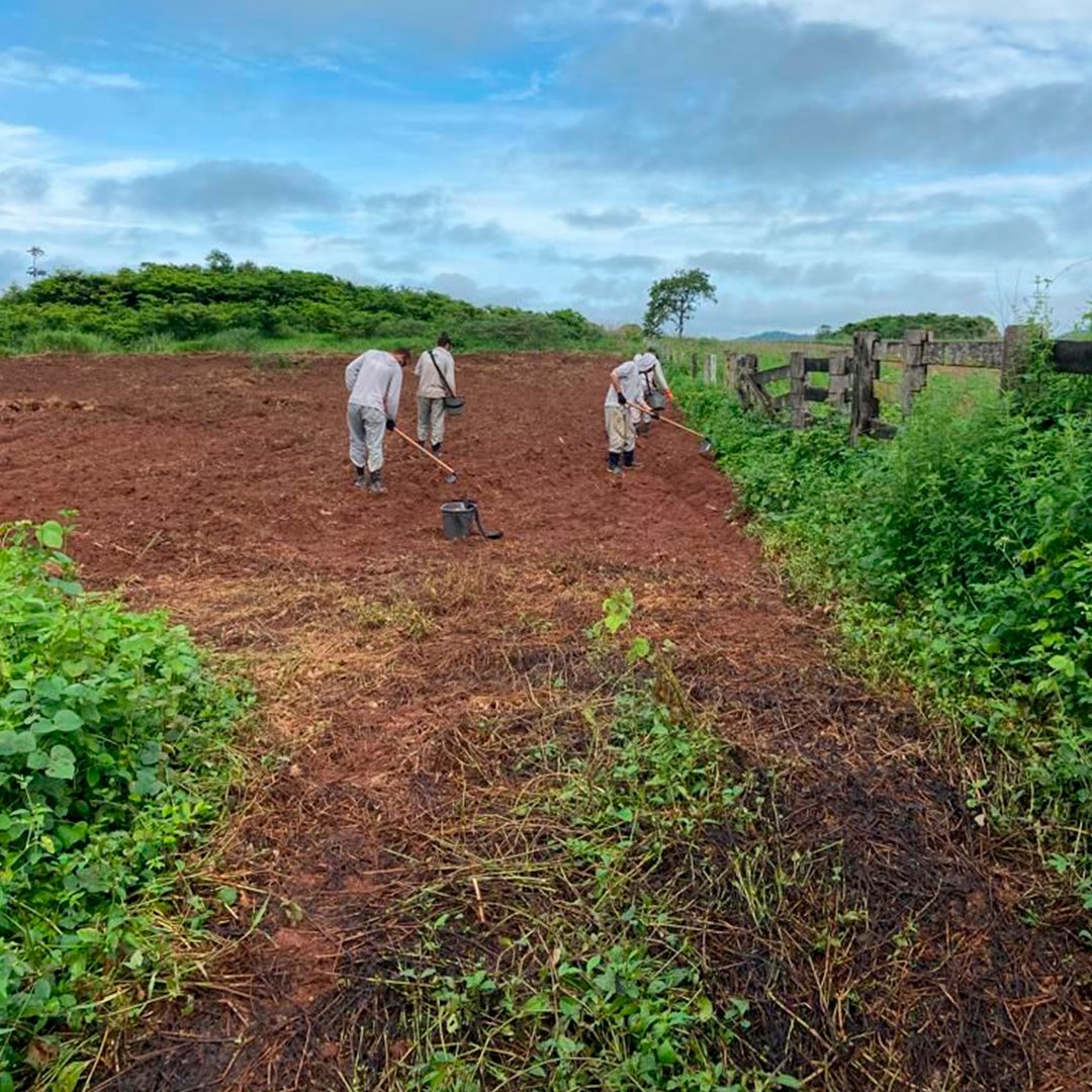 Black Jaguar Foundation tweet media