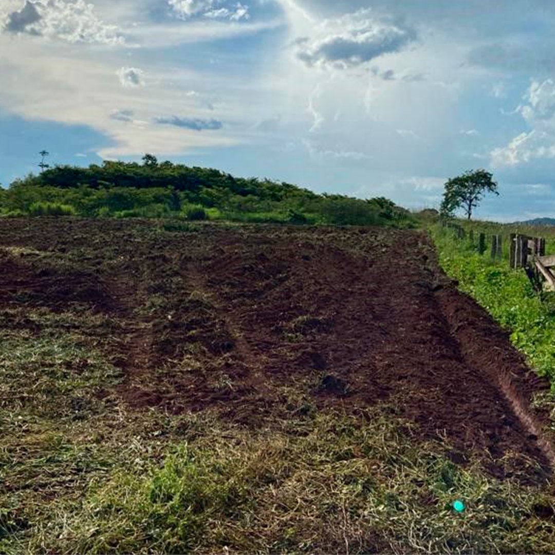 Black Jaguar Foundation tweet media