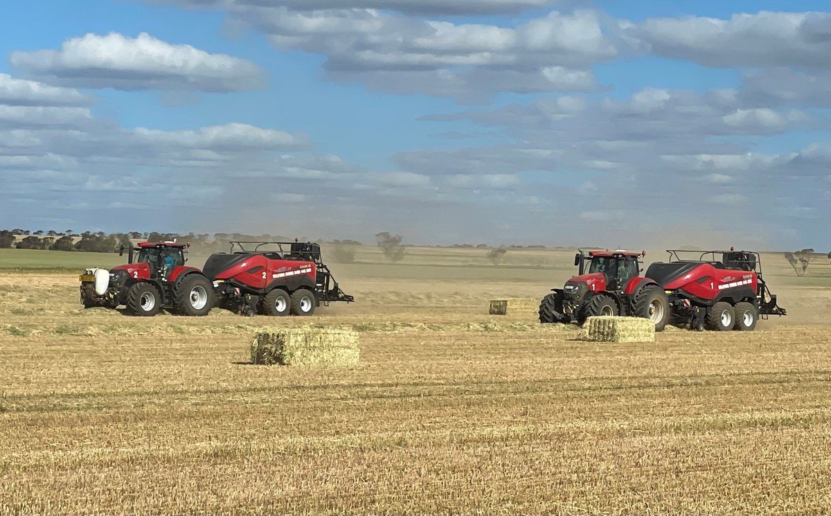 'We’ve used Case IH balers for 25 years and they’ve been great. When we went from the standard large square baler to the LB436 HD we noticed the quality, increased weight of the bales and the improved capacity of the balers” Sandy Lyon from hay contracting business Willyung Farms