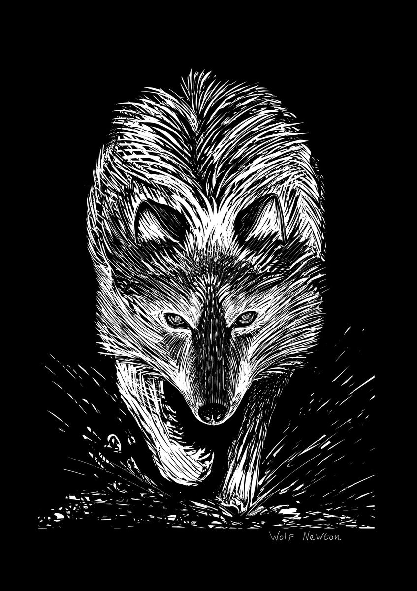 A quick Wolf sketch 🐺

#painting #procreate #illustration #sketch #shamanism #art #painter #digitalart #artist #contemporaryart #modernart #contemporarypainting #artexhibition #artgalleries #artscouting #vegan #drawing #witchbook #wolfart #fantasybooks #wolf #wolves