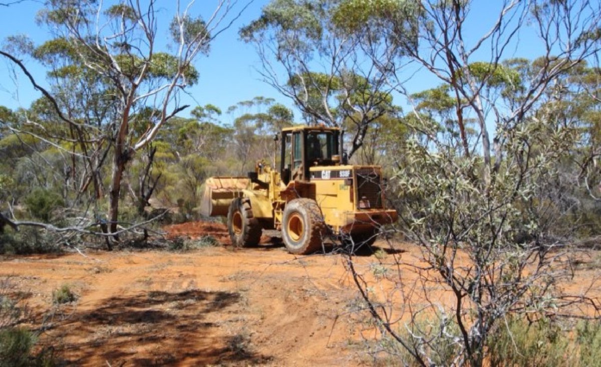 EasternEFE's tweet photo. $EFE.AX is pleased to announce that site preparation has commenced at Lepidolite Hill Lithium Project.

Learn more: https://t.co/7idHQI9LCo https://t.co/5eakGNfduv