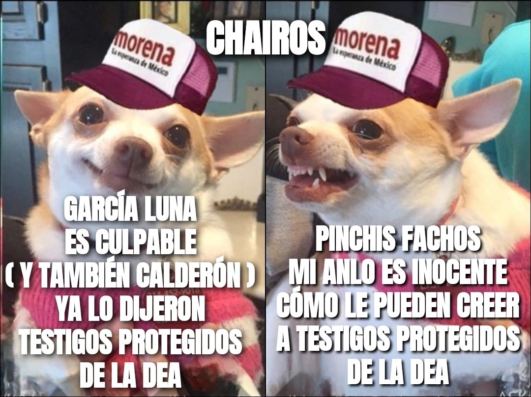 MiguelPantojaMD's tweet photo. @jgnaredo @lopezobrador_ #chairo #chayotero @jgnaredo tu #pejesecta de fanáticos ignorantes idólatras descerebrados esperan más de ti en defensa de tu amo-patrón y diosito-mesías #NarcoPresidente, no los defraudes échale más "ingenio" a tus maromas (son muy pobres), justifica los #chayotes que recibes... https://t.co/ON74tvPgL0