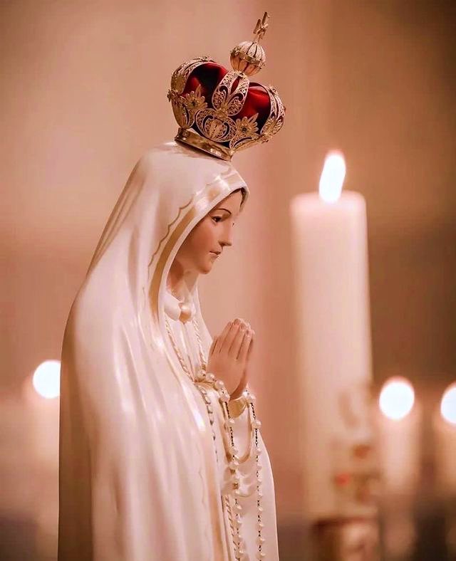 PrayTheRosary's tweet photo. Ave María, grátia pléna, Dóminus técum. Benedícta tu in muliéribus, et benedíctus frúctus véntris tui, Iésus. Sáncta María, Máter Dei, ora pro nobis peccatóribus nunc et in hora mortis nostræ. Amen https://t.co/vxuEoAlU8E