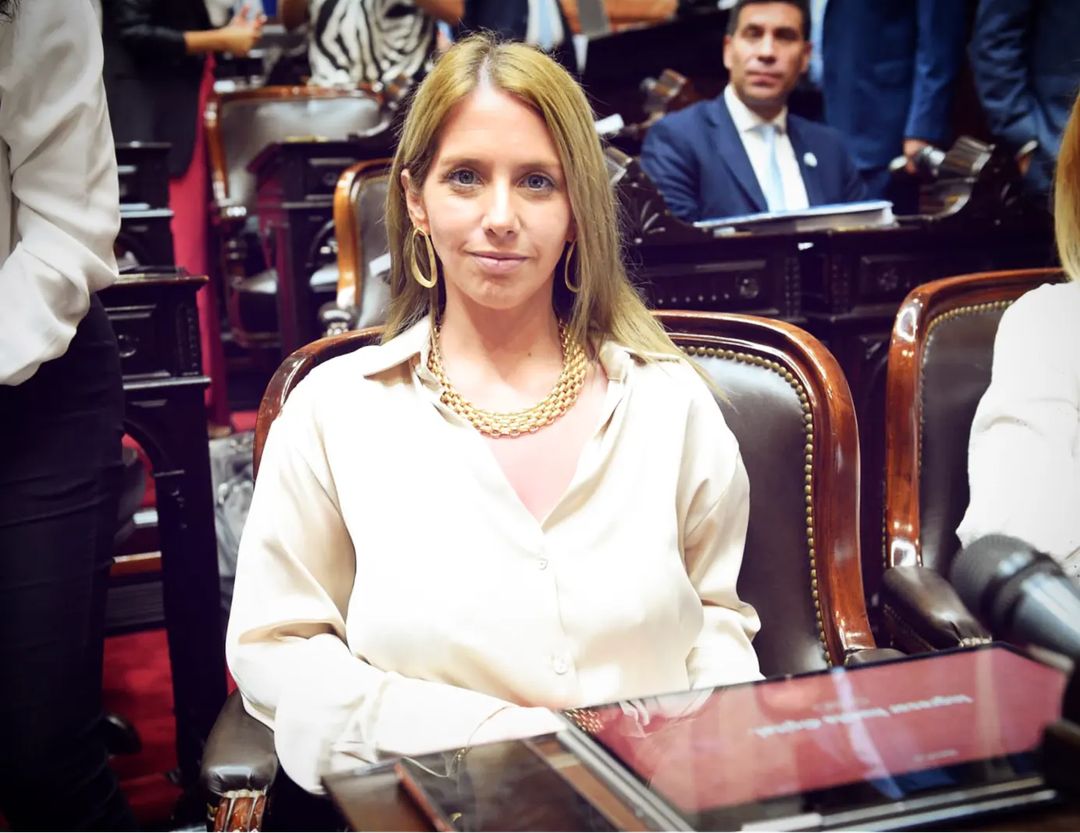 mcelestep's tweet image. 12 hrs sin moverme de la banca y vamos por las que sean necesarias por la Ley Bases  #VLLC