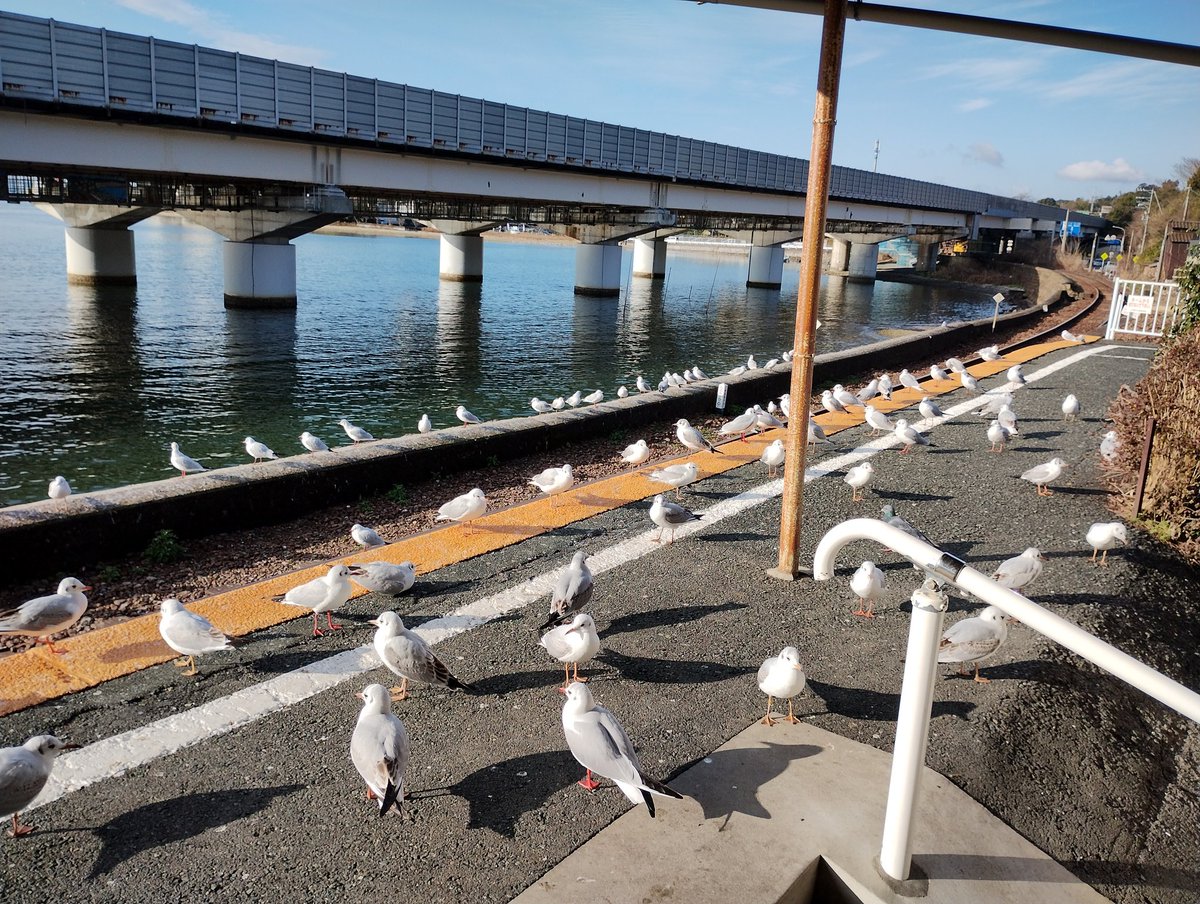betashakesaba's tweet photo. https://t.co/QR6Z4Eli0z