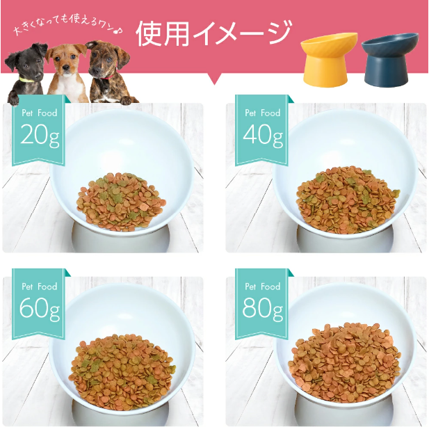 tonajyu's tweet photo. 大切な家族へプレゼント！カラーバリエーション多く全部ほしいです。
気になる方はここから購入できます。
https://t.co/j2M0DljeBz https://t.co/hRYb2OqAN2