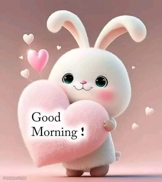 💖 Good Morning 💞 
How are you friends ?
Have a great day 💥

#ThursdayMotivation #deprem #SinnerDjokovic #OTDirecto26E #RepublicDay2024 #bigfoot #FreePalestine #ولعت 
#RoyalRumble #хтивийпонеділок
#ramazanhoca