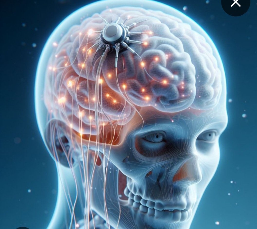 RealDrJaneRuby's tweet image. I cannot find the data package submitted to the FDA that supposedly got approval for #NeuralLink to be inserted into a human being

Can anybody help me out?