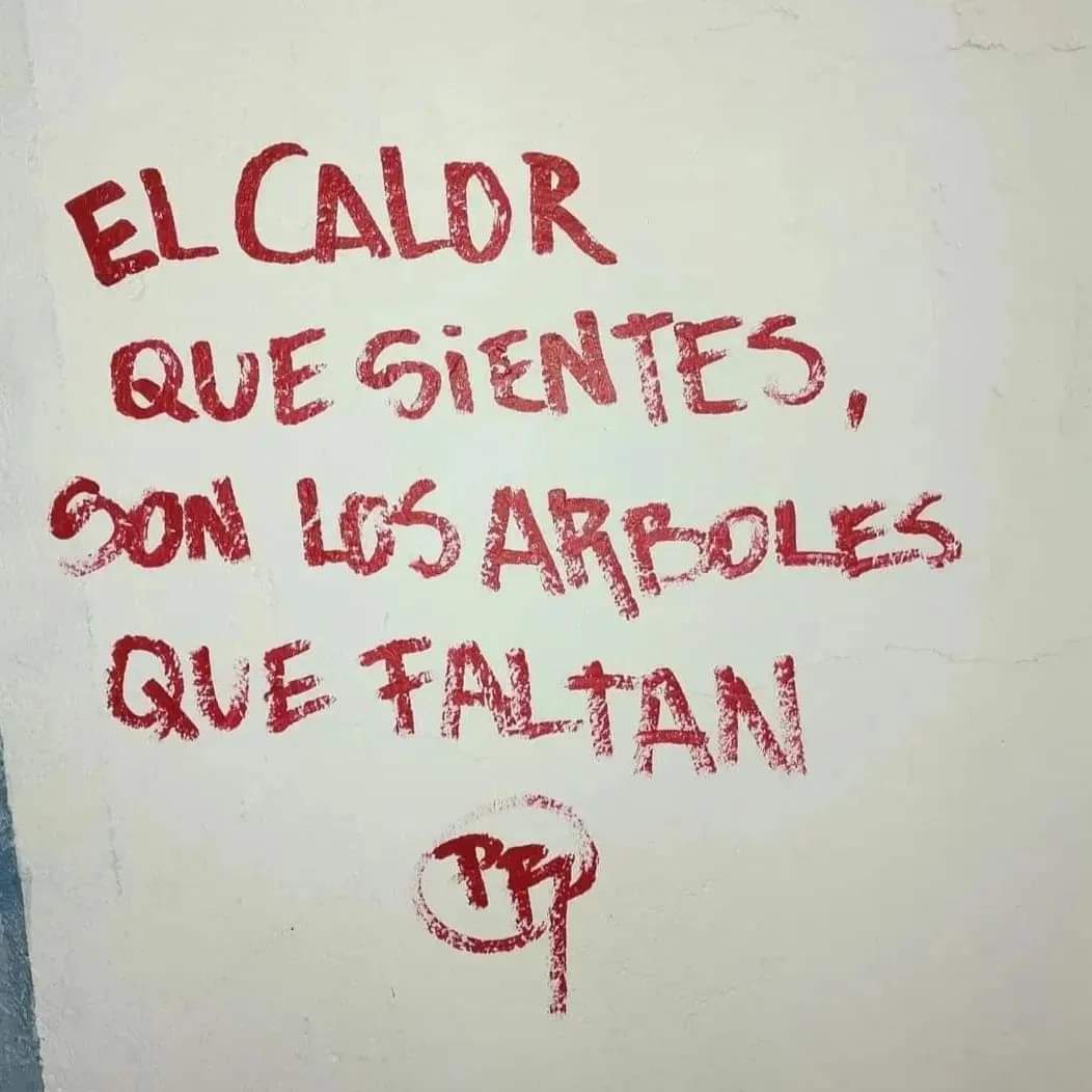 NikolayOCDC's tweet photo. El calor que sientes, son los árboles que faltan. https://t.co/48HwSiqxc6
