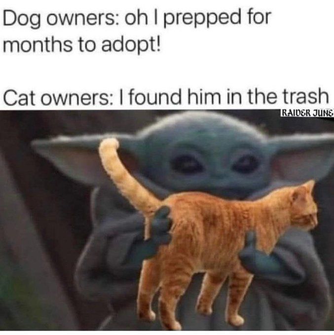 WholesomeMeme's tweet photo. https://t.co/j51RPlz6as
