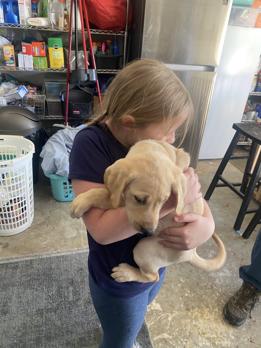 Hwin's tweet image. Welp, I guess we’re doing this