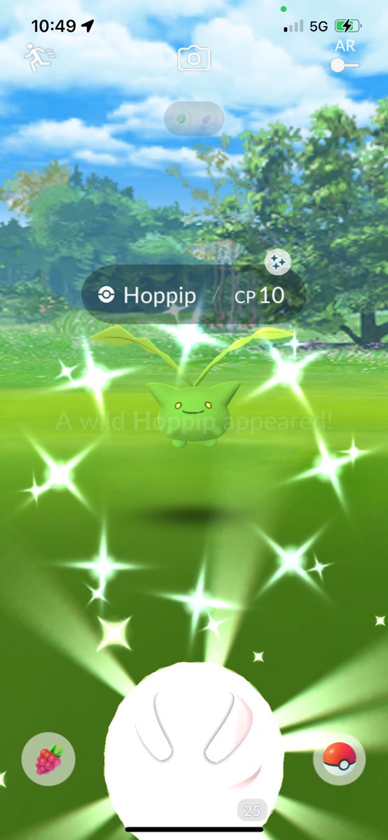 milieva13's tweet photo. I barely saw his #sparkles with the background. β¨π€© #PokemonGO #CatchThemAll #ShinyPokemon #ShinyCheck #wild #shiny #homespawn https://t.co/c0JdJtg7uu