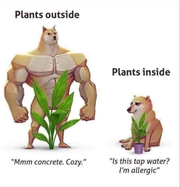 Satan (@s8n) on Twitter photo 