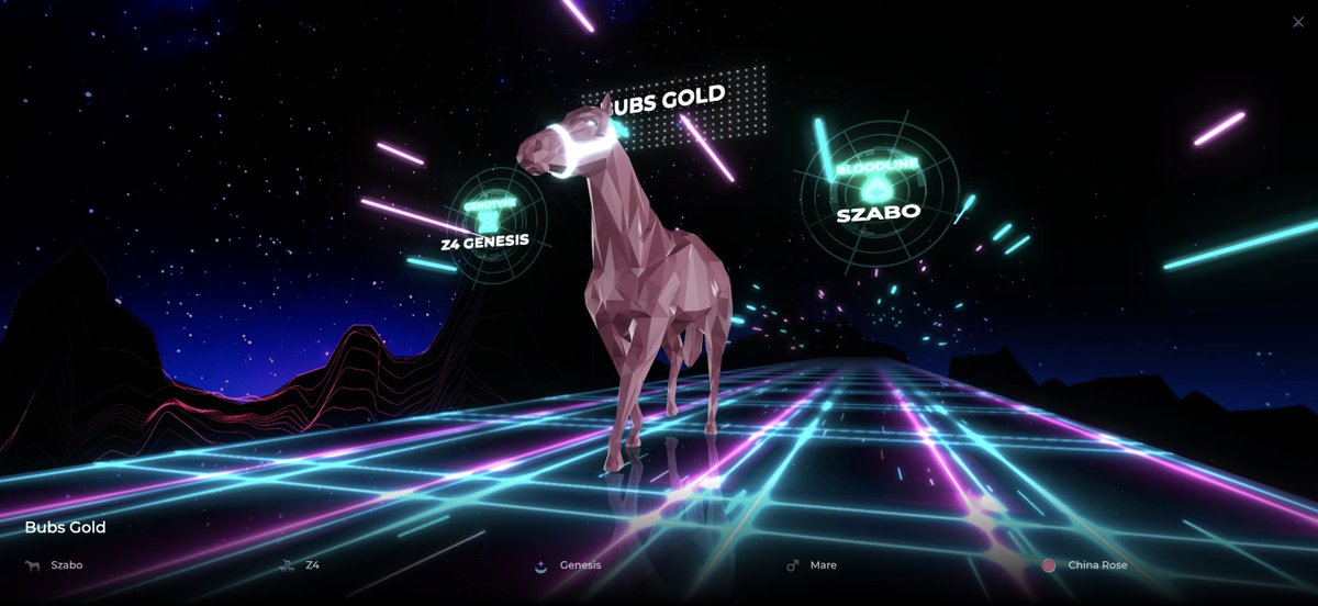 Bob | AVFC | Award Racing tweet media