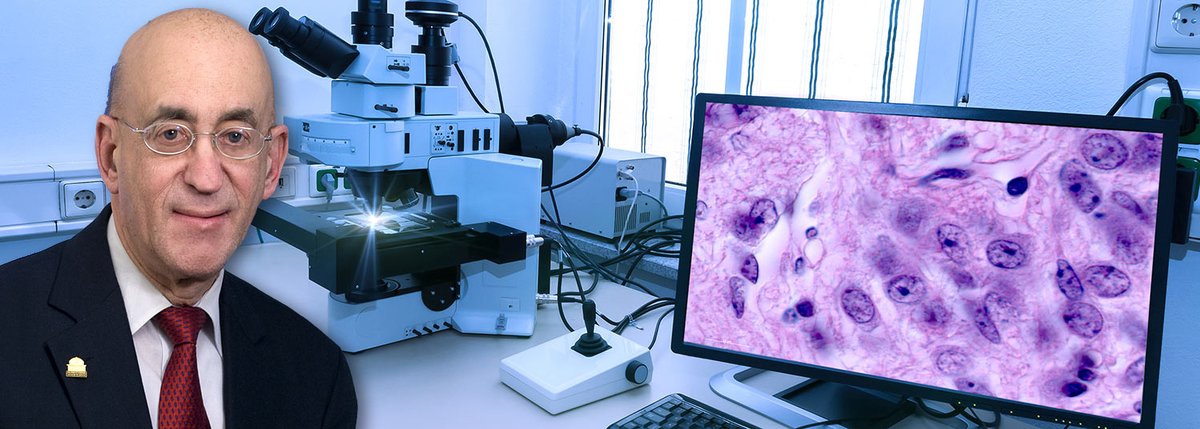 University of Maryland Department of Pathology tweet media