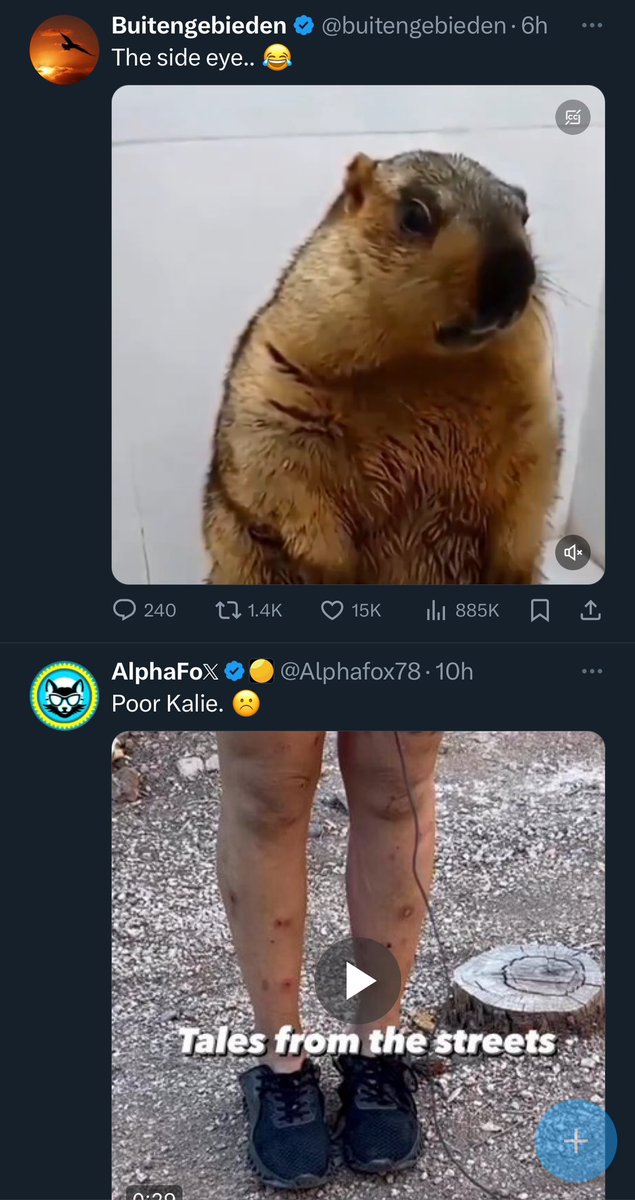 Dave tweet media