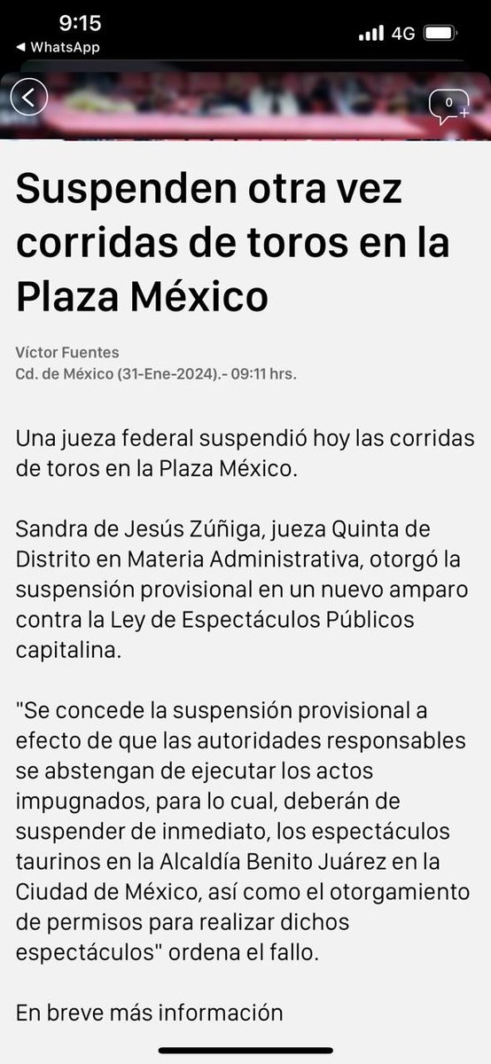 maorozcod's tweet image. Le preguntaré al abogado @cesargutipri  que opina de la polémica? Toros o no toros?
