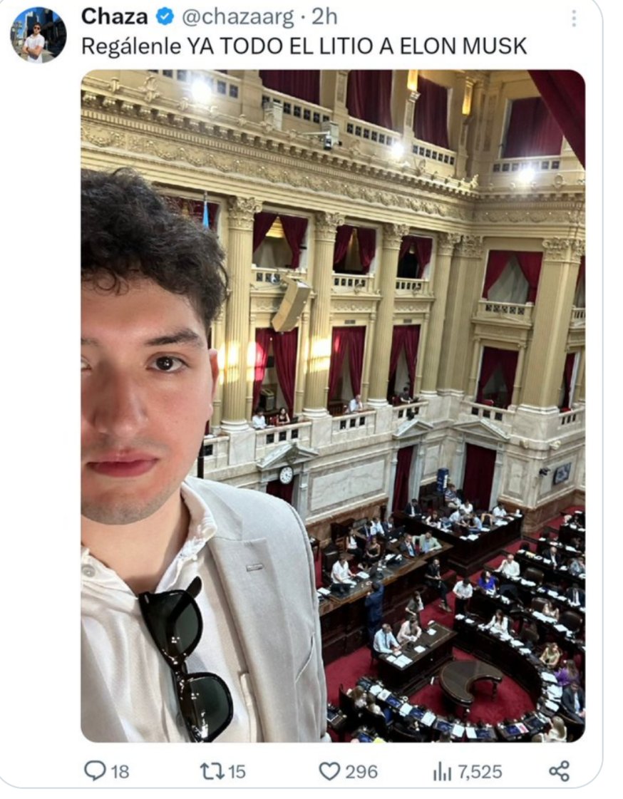 PerritaMalvada tweet media