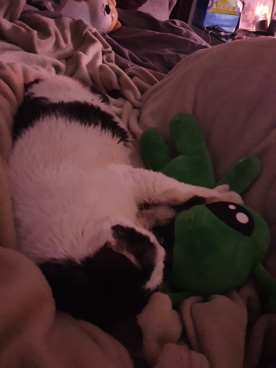 LionhartZ tweet media