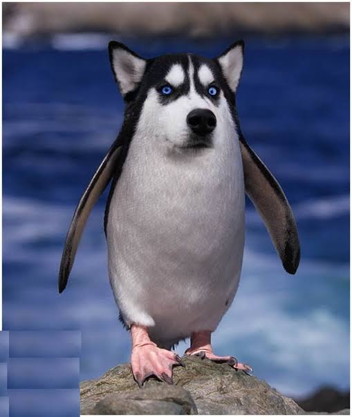 ㅤ
ㅤ
[ Gift for <a href="/r_incarnated/">𝐕𝐘𝐑𝐔𝐓 𝐂𝐇𝐑𝐎𝐍𝐎.</a> ]

Happy birthday!! Dia ngga menggigit kok──cuma matok aja. Hati-hati ya! Kelakuannya kayak soang~ ㅤ
ㅤ
ㅤ