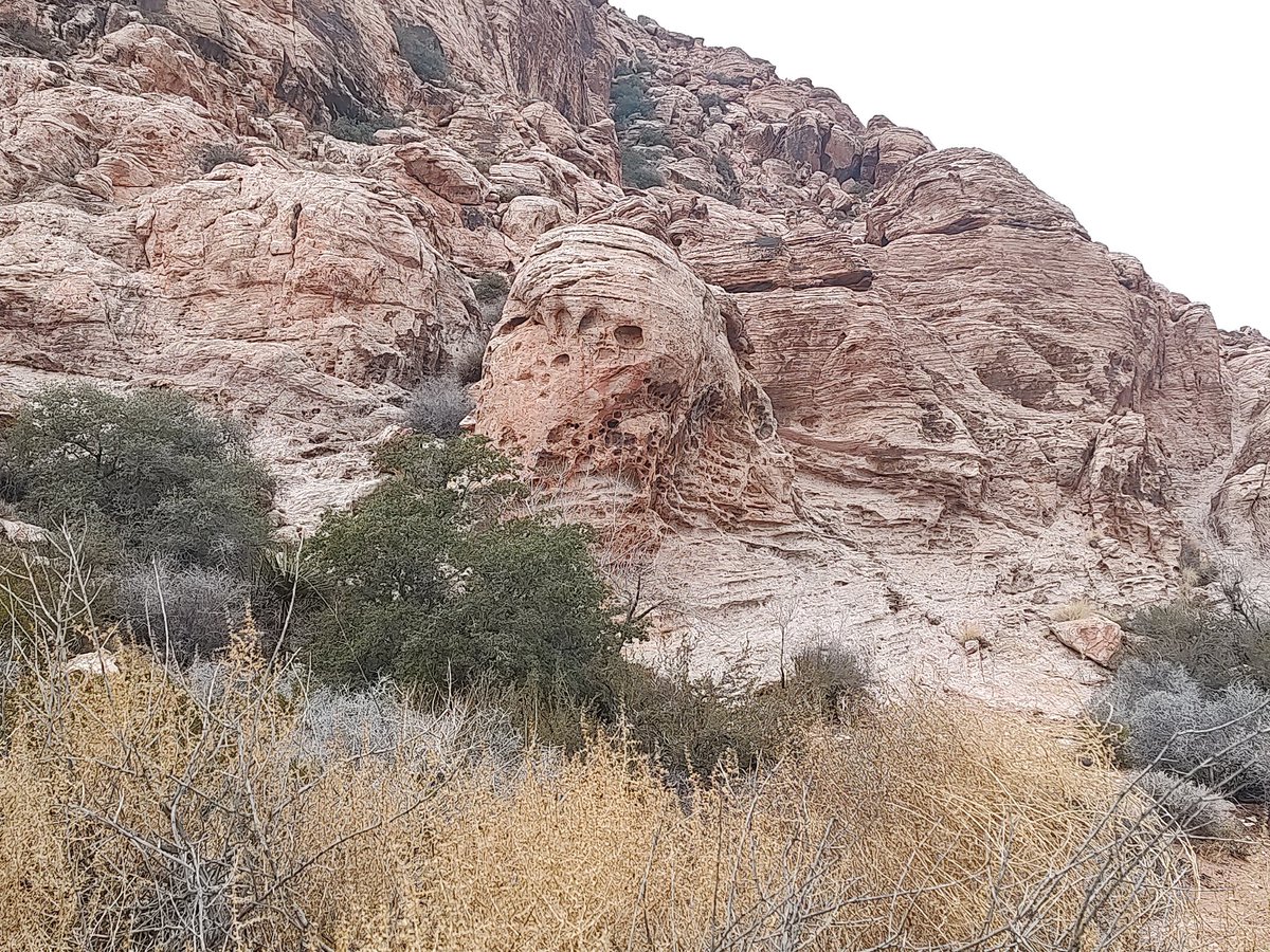 bookmarkdavis's tweet photo. Good day for a hike #RedSpring #RedRockCanyon https://t.co/HQwESI4zed