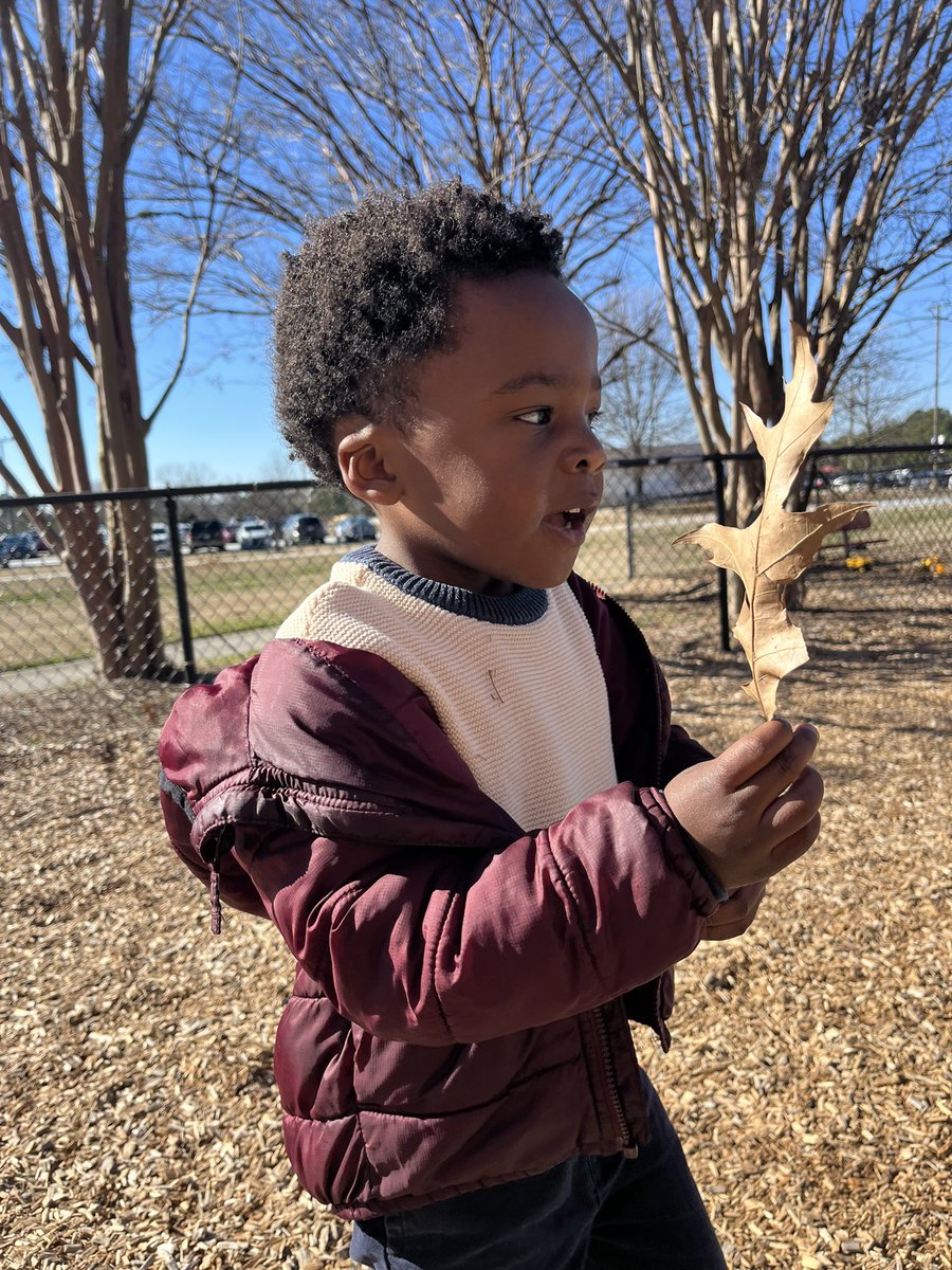 RCPS_EarlyLearn's tweet image. Leaf Investigation 🍁 
#science  #Leafs #playgroundscience #afterschool #pat #dph