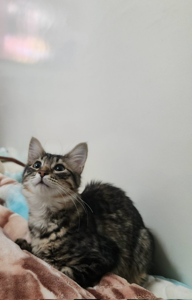 Masked Trader tweet media