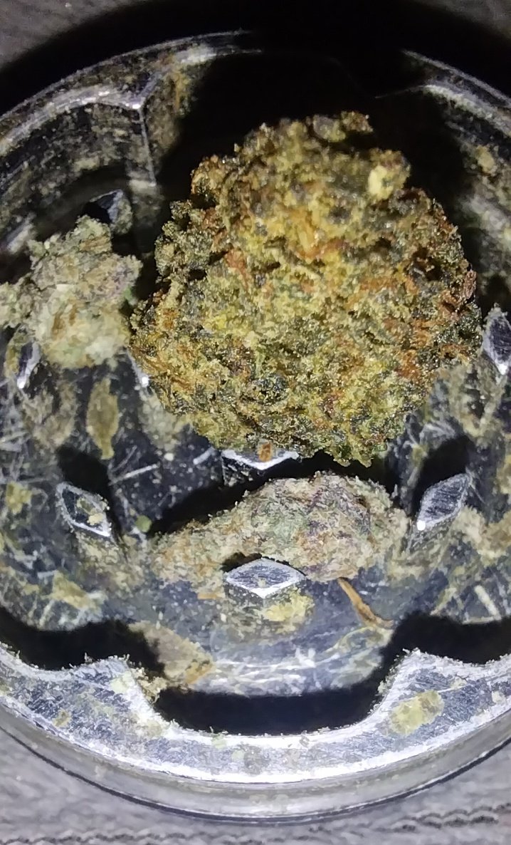 BREEBUTT1321's tweet photo. White runtz and black cherry runtz in my #spacecase grinder that's older then alot of us here lol it was my mom's she got it when she was like 16 and I have had it since I was 12 and she passed I love it and it's special to me 🥰 https://t.co/vvNosxrFuO