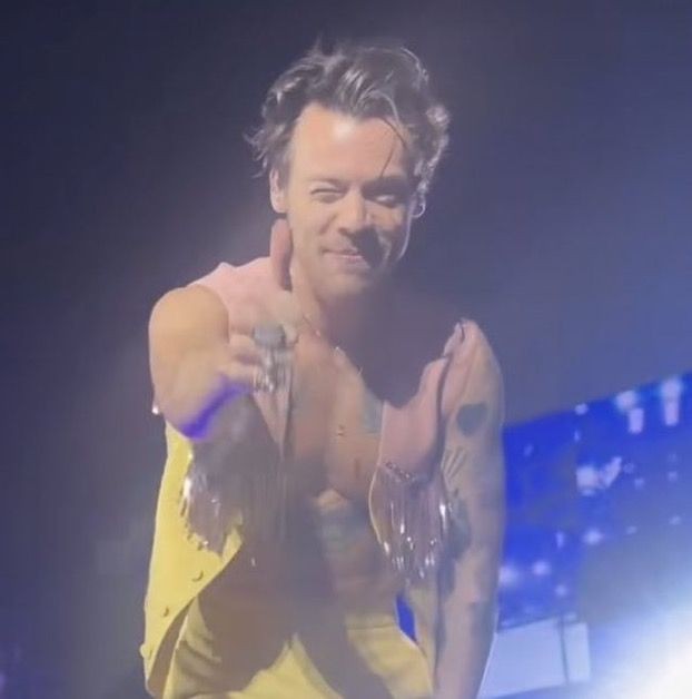 sarahᴴ loves harry 𐙚 (@goldenrryhrry) on Twitter photo 