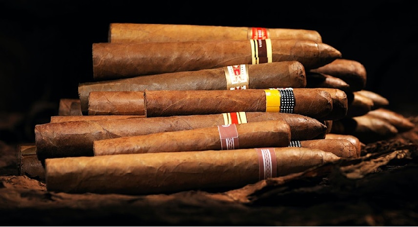 StogieFest tweet media