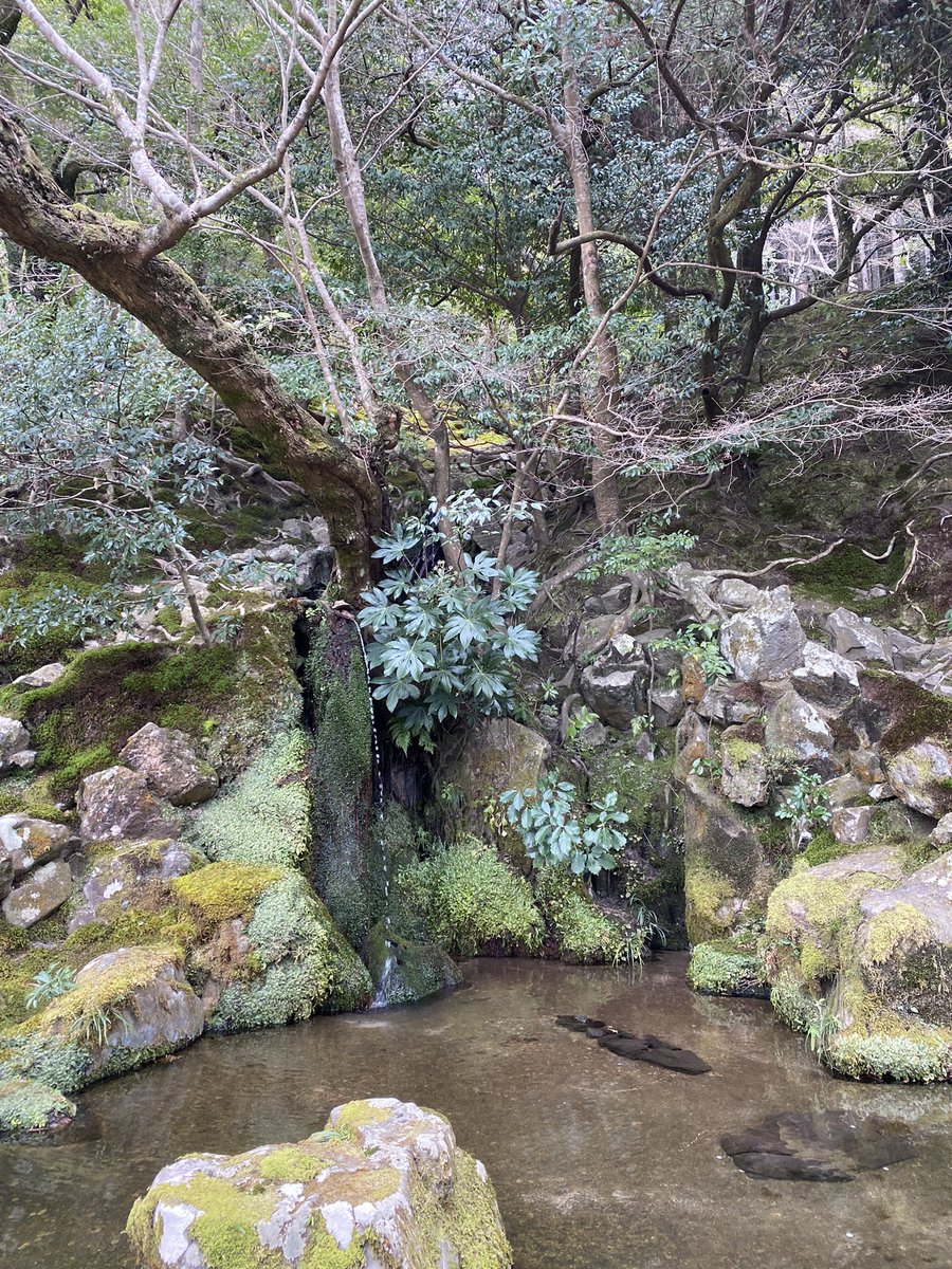 itsnicoru's tweet photo. here’s some pics from a recent family day trip to Kyoto https://t.co/4vCZqnQjBm