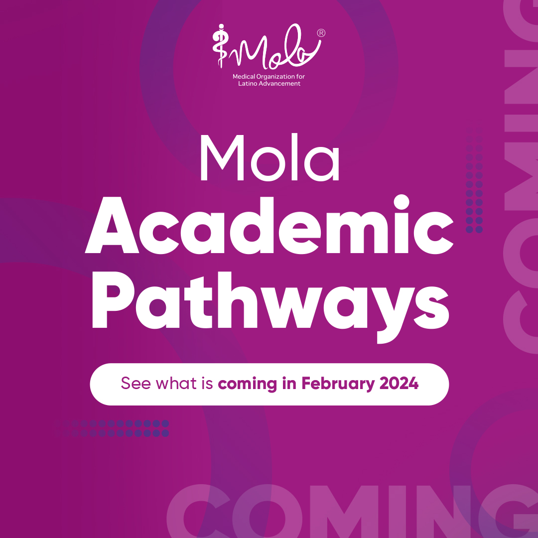 chicagomola's tweet image. Find your own pathway. Stay tuned for what is coming this February 2024!

Register here:👇
bitly.ws/3bxjk

#molahealth #chicagomola #academicpathways