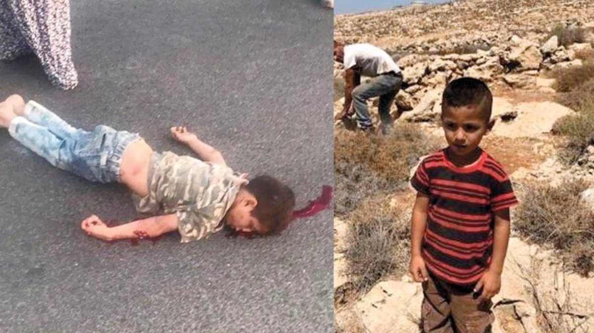 Sulaiman Ahmed tweet media