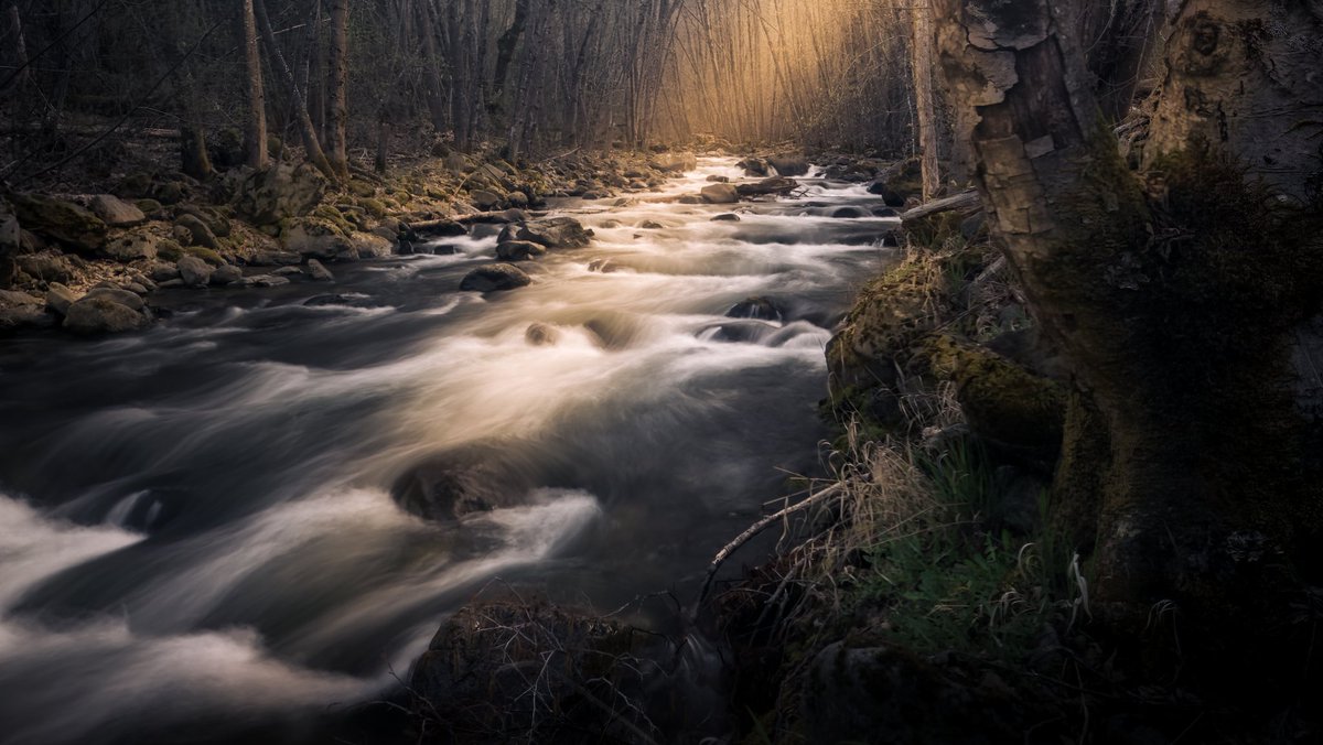 I just found this photo that I forgot I had taken back 2022. Canyon Creek in northern California's Siskiyou County. #landscape #photography
#landscapephotography #rivers