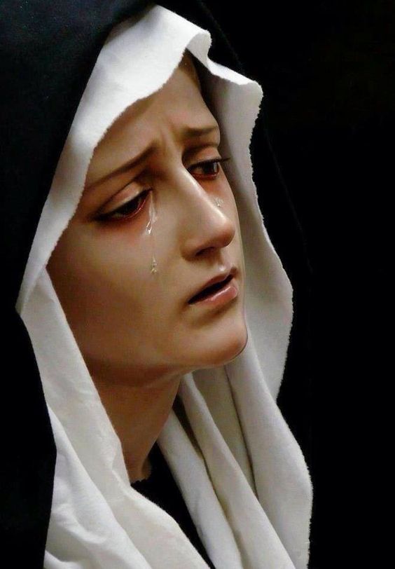 roseblooming3's tweet photo. our lady of sorrows, be a mother to those in pain. https://t.co/lJNnUbWKji