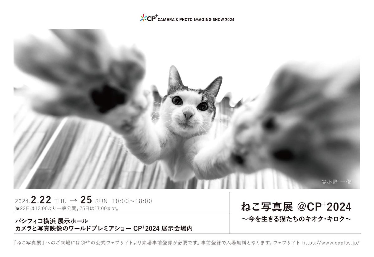 ねこ写真展@CP+2024に参加させていただきます。 来場にはCP +公式