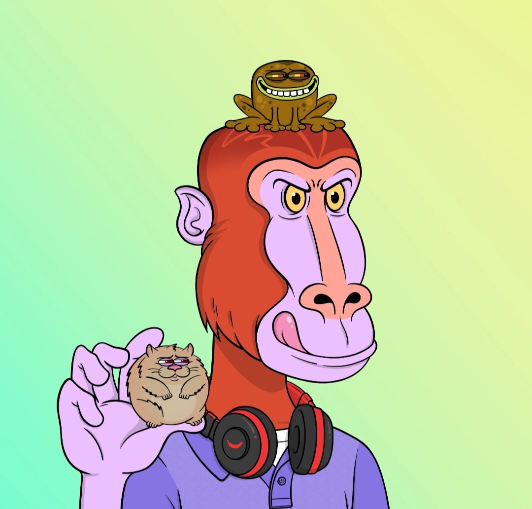 Coacħ_Hangry tweet media