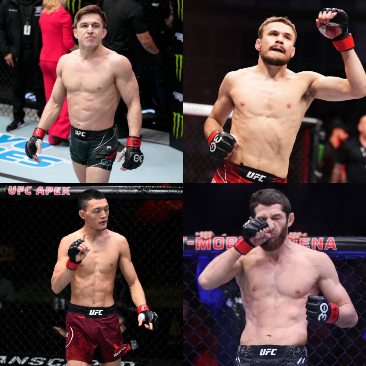Sim (@mma__sim) on Twitter photo THE FLYWEIGHT GRAND PRIX
(1) McNeil ๐บ๐ธ ๐ (4) Mingze ๐จ๐ณ ~ UFC 30
(2) Phillips ๐ด๓ ง๓ ข๓ ฅ๓ ฎ๓ ง๓ ฟ ๐ (3) OโMalikov ๐ท๐บ ~ UFC 29
@tyson_mcneil122 <a href="/MingzeMMA/">Mingze ๐จ๐ณ</a> <a href="/jackffc_/">jackffc</a> <a href="/SvenOmalikov/">Sven Omalikov</a> THE FLYWEIGHT GRAND PRIX
(1) McNeil ๐บ๐ธ ๐ (4) Mingze ๐จ๐ณ ~ UFC 30
(2) Phillips ๐ด๓ ง๓ ข๓ ฅ๓ ฎ๓ ง๓ ฟ ๐ (3) OโMalikov ๐ท๐บ ~ UFC 29
@tyson_mcneil122 <a href="/MingzeMMA/">Mingze ๐จ๐ณ</a> <a href="/jackffc_/">jackffc</a> <a href="/SvenOmalikov/">Sven Omalikov</a>