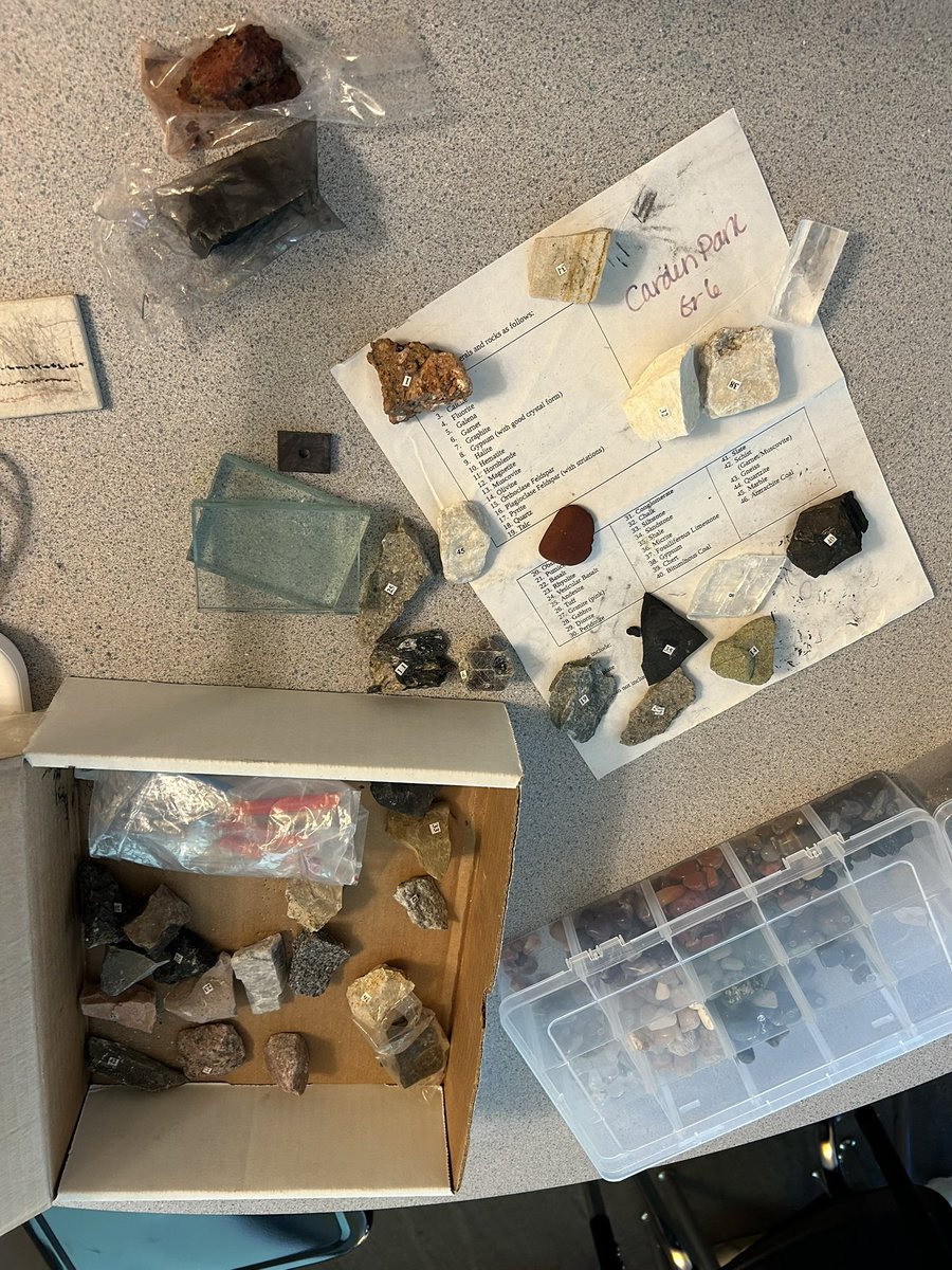 Mrs Alycen Shewell tweet media