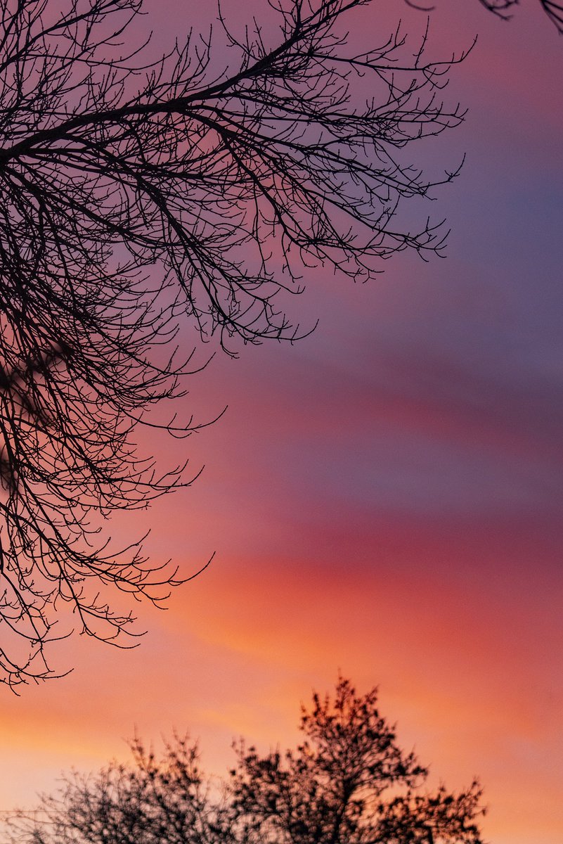 Off the porch sunset photo the other day. #Winnipeg