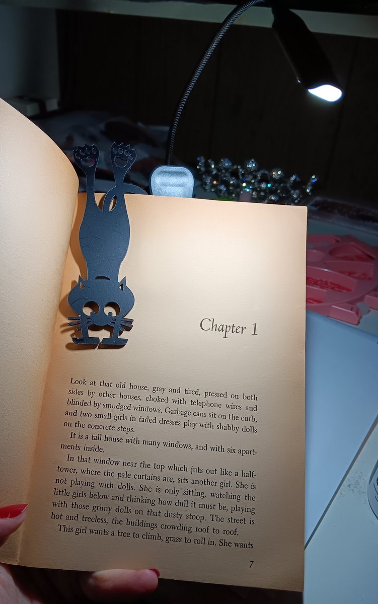 If you're looking for a book light, I found one on Amazon that doesn't cost the bank. It has 3 different light settings and 3 different light strengths. 
Glocusent Willow Book Light for... amazon.com/dp/B09HQFYY88?…
#reading #books #booklights