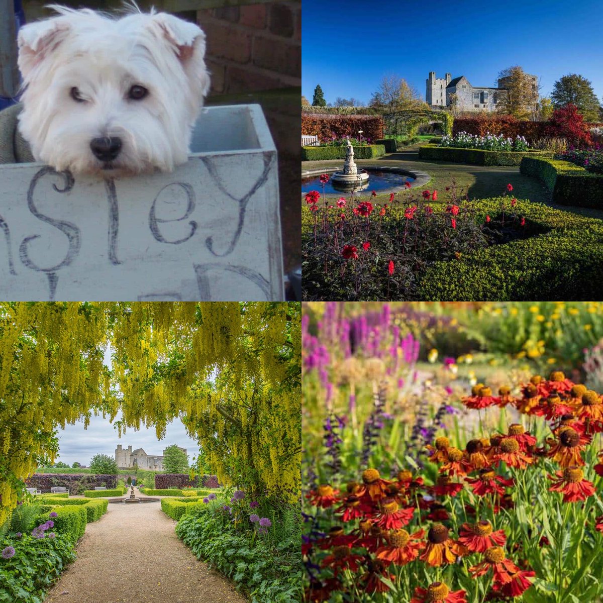 Sniff out @HelmsleyWalledG for the pawfect day out with the whole family 🐾🌸 Come & explore these stunning historic walled gardens with your furry friend 🐾🌷🌻 dotty4paws.co.uk/businesses/lis… … … #dogfriendly #yorkshire #helmsley #Earlybiz @VisitHelmsley