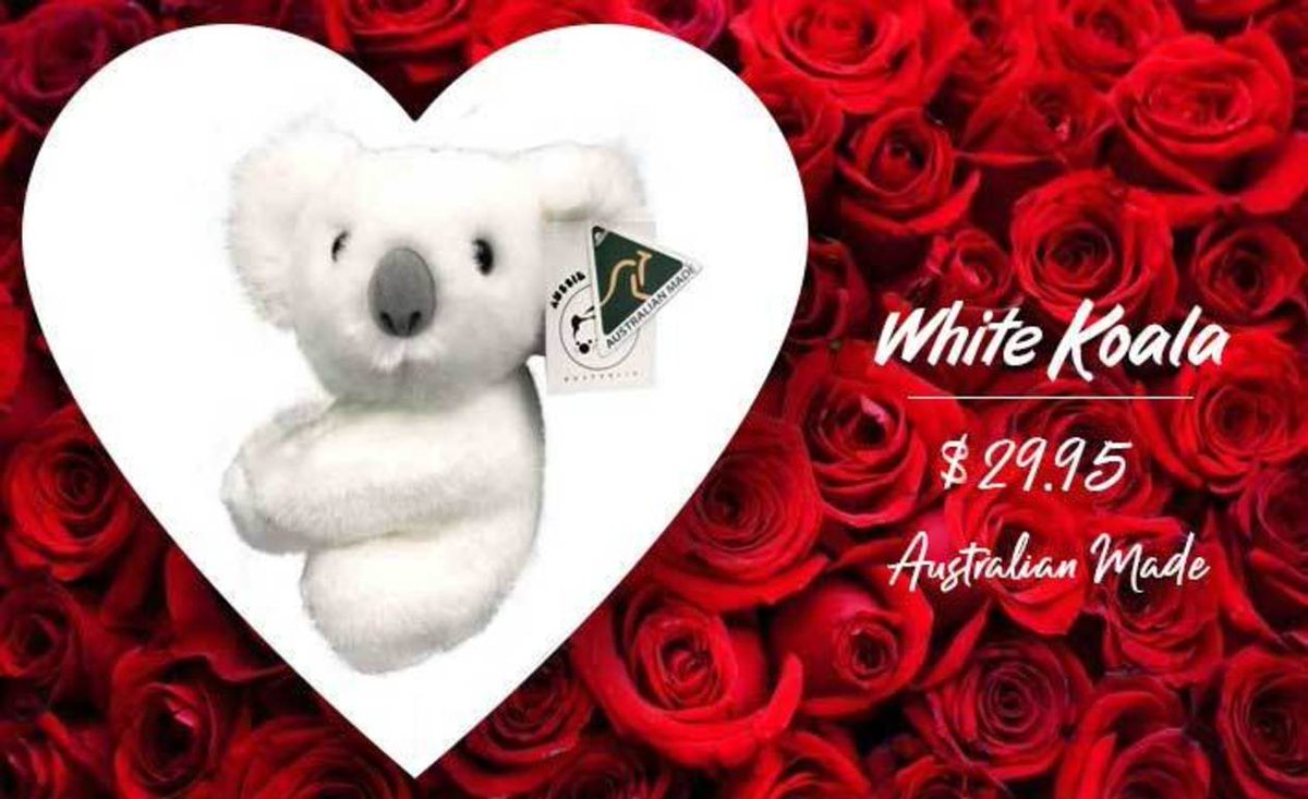 🐨Embrace love this #ValentinesDay with our adorable white #Koala! 🌹 Made with love in Australia, this 7″ beautifully unique and super soft Koala is not only a perfect gift, but also supports our work in saving the Koala. Buy now: savethekoala.com/shop/products/…
