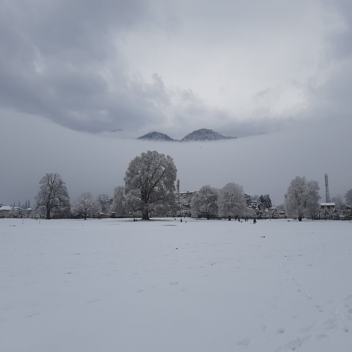 Acclimatized
#kishtwar #winterheaven