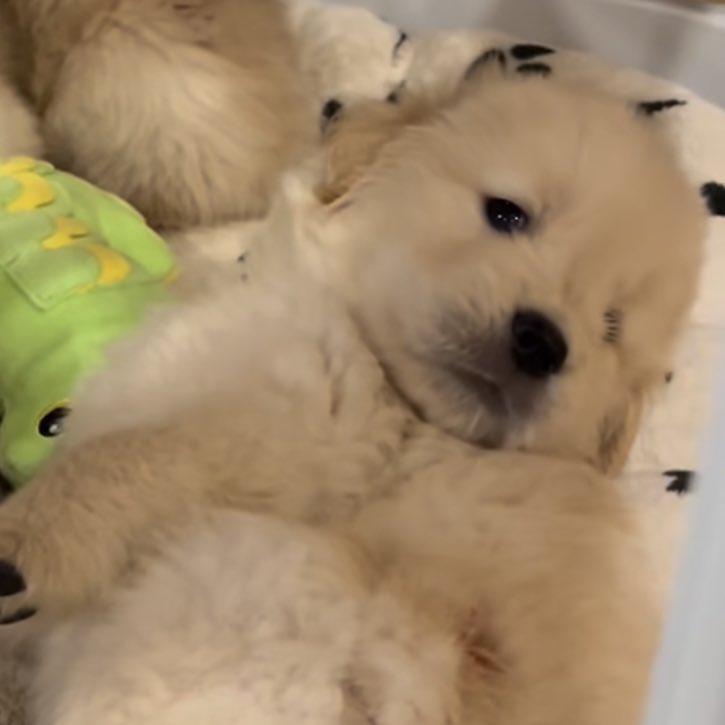 เรียกทำไม ถ้าเรียกแล้วมะจุ้บ