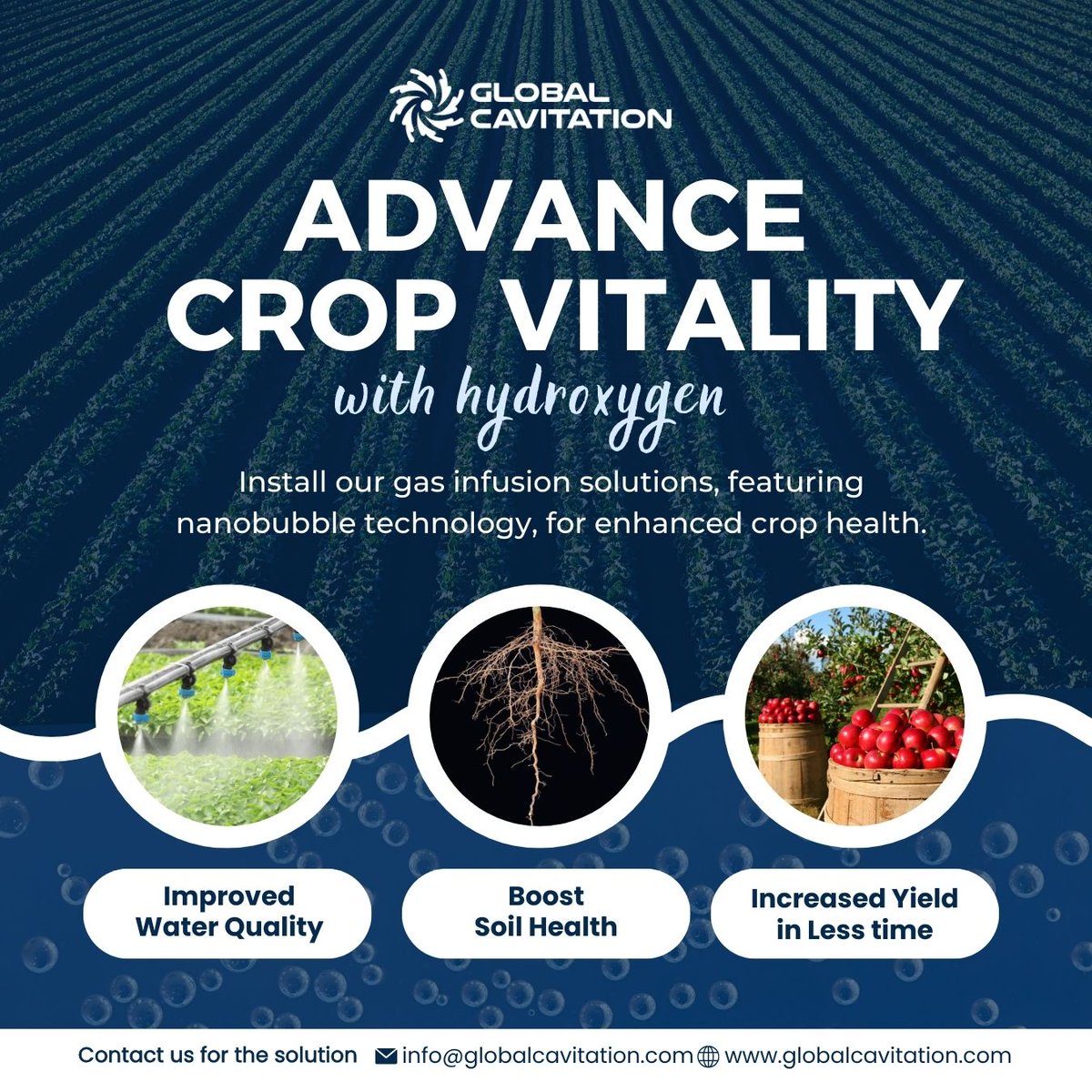 cavibubble's tweet image. 🌱Elevate your farming game with a revolutionary way to improve crop health, quality, and yield using beneficial gases like oxygen and hydrogen.

#SmartFarming #SustainableAgriculture #NanobubbleTechnology #nanobubbles