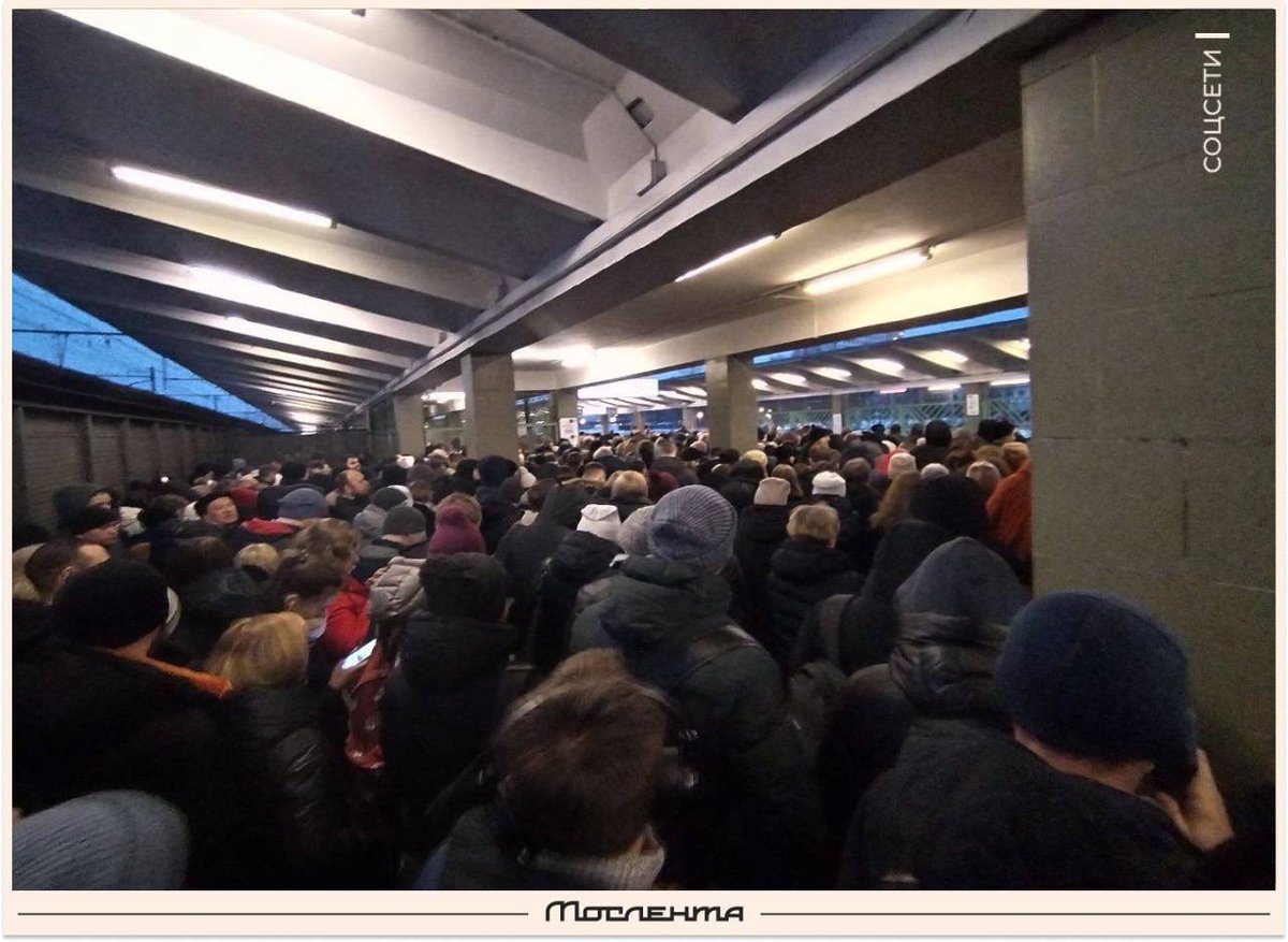 Мослента tweet media