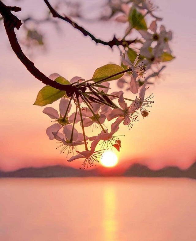 Hi, everyone! I know it’s still February, but it kinda feels like spring already. I haven’t been here for such a long time &amp; am just popping in. Hope all is well with y’all 😘🧚🏻🌸💓 #February2024