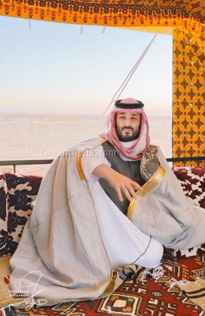 البرتغالي 💛 tweet media